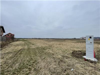 Teren Intravilan 676mp in Mosnita Veche, Padurea Bistra