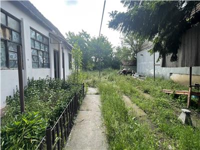 Teren Intravilan 2400mp in Covaci, Sânandrei