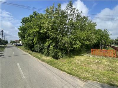 Casa + Teren 2400 mp in Covaci, Sânandrei