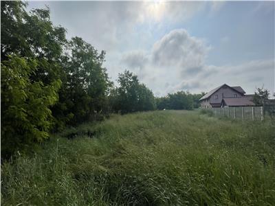 Casa + Teren 2400 mp in Covaci, Sânandrei