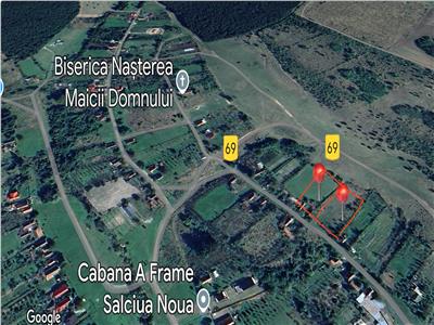Teren Intravilan 3060mp in Salciua Noua