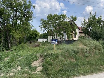 Teren Intravilan 1277mp, D+P+1E+M in Timisoara, zona Freidorf