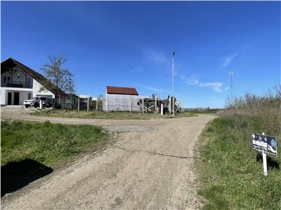 Teren Intravilan 5000mp in Buvovat
