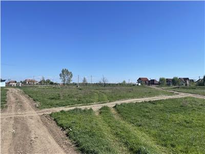 Teren Intravilan 5000mp in Buvovat

