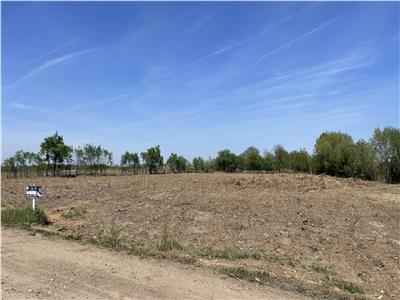Teren Intravilan 5000mp in Buvovat
