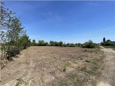 Teren Intravilan 5000mp in Buvovat
