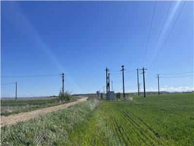 PUZ 24 de parcele in Bucovat