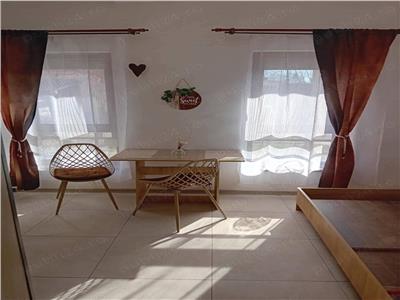 Apartament cu 1 camere in zona Aradului, Bloc Nou