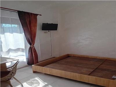 Apartament cu 1 camere in zona Aradului, Bloc Nou