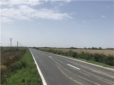 Teren Extravilan 3,3ha in Mosnita Veche, zona 3G Garden
