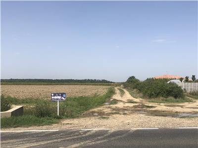 Teren Extravilan 3,3ha in Mosnita Veche, zona 3G Garden