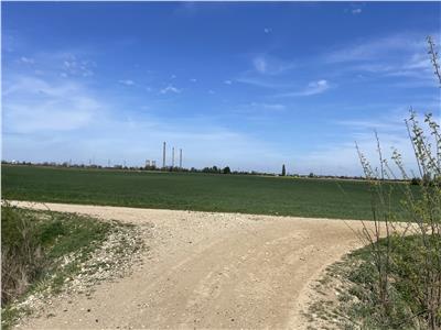 Teren Extravilan 5ha in Sag, Centura Sud