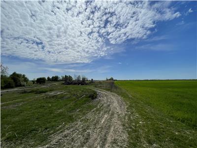 Teren Extravilan 5ha in Sag, Centura Sud