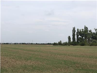 Teren Extravilan 5ha in Sag, Centura Sud