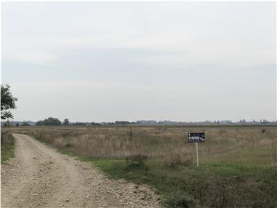 Teren Extravilan 5ha in Sag, Centura Sud