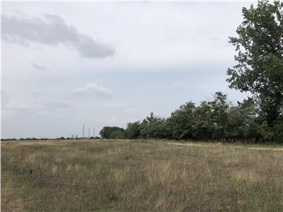 Teren Extravilan 5ha in Sag, Centura Sud