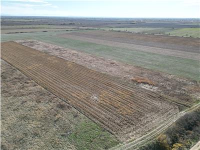 Teren Extravilan | 2.3 Hectare