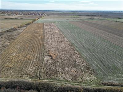 Teren Extravilan | 2.3 Hectare