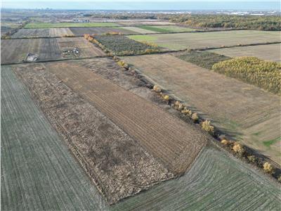 Teren Extravilan | 2.3 Hectare