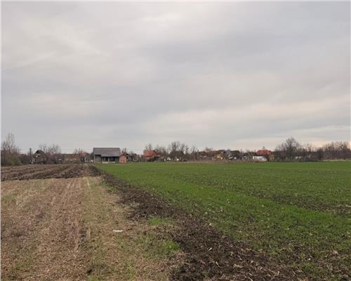 Teren | Parta | Plata In Rate