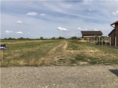 Teren Intravilan 676mp in Mosnita Veche, Padurea Bistra