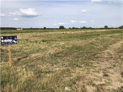 Teren Intravilan 676mp in Mosnita Veche, Padurea Bistra