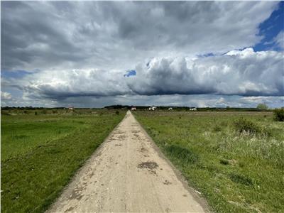 Teren Intravilan 676mp in Mosnita Veche, Padurea Bistra