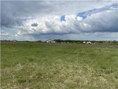 Teren Intravilan 676mp in Mosnita Veche, Padurea Bistra