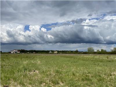 Teren Intravilan 676mp in Mosnita Veche, Padurea Bistra