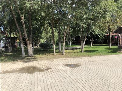 Hala 50mp in Mosnita Noua, Str. Principala