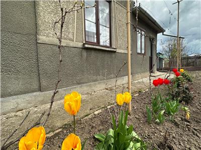 Casa renovata 150mp, teren 1280mp in Iecea Mare