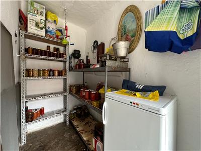 Casa renovata 150mp, teren 1280mp in Iecea Mare