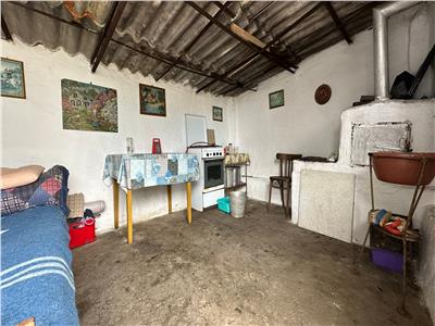 Casa renovata 150mp, teren 1280mp in Iecea Mare