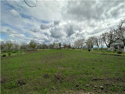 Casa renovata 150mp, teren 1280mp in Iecea Mare