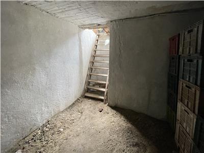 Casa renovata 150mp, teren 1280mp in Iecea Mare