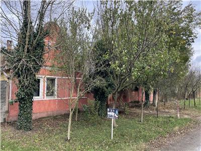 Teren 4299mp + Casa veche in Sacosu Turcesc