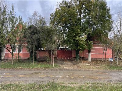 Teren 4299mp + Casa veche in Sacosu Turcesc