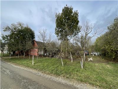 Teren 4299mp + Casa veche in Sacosu Turcesc