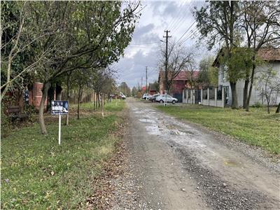 Teren 4299mp + Casa veche in Sacosu Turcesc