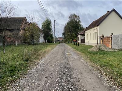 Teren 4299mp + Casa veche in Sacosu Turcesc