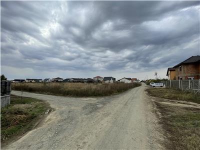 Teren Intravilan 1121mp in Mosnita Noua, toate utilitatile