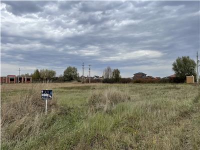 Teren 748mp in Mosnita Noua, toate utilitatile