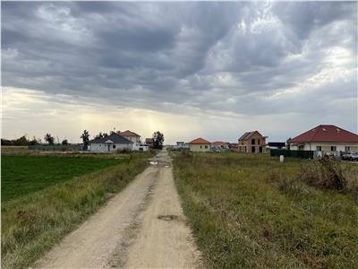 Teren 748mp in Mosnita Noua, toate utilitatile