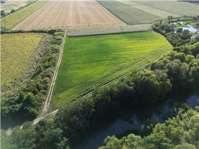 Teren 800mp langa Bega in Bucovat